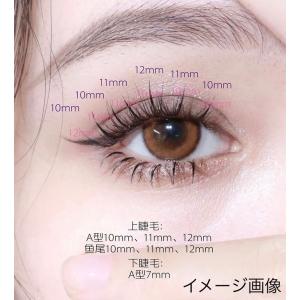 お得セット A型V型(200束)セット セルフ...の詳細画像4
