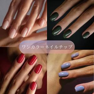 SHAREYDVA ネイルチップ クリア シャレドワ スタンダードチップ
