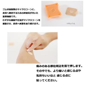 ソマニクス ソマレゾン 100個入り L 2個の詳細画像3