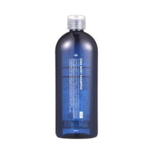 ハツモールＤＮＡミントシャンプー　３００ｍｌ　田村治照堂