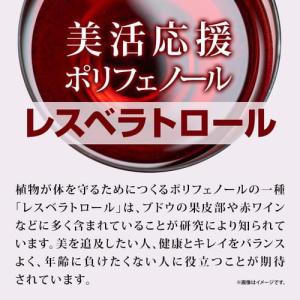 レスベラトロール 約3ヶ月分 180粒 Roy...の詳細画像2