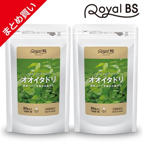オオイタドリ まとめ買い 2個セット
