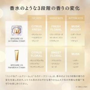スピケア V3 限定コフレセット 2024 V...の詳細画像4