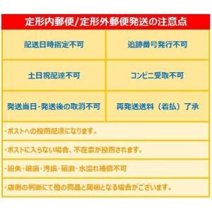 FANCLファンケル 中性脂肪サポート 30日...の詳細画像3