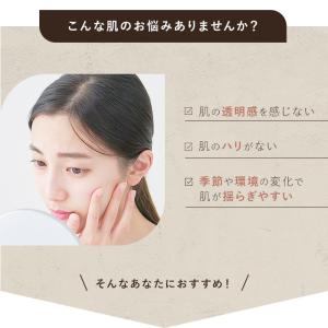 【 正規販売店 】 soel LIVING-O...の詳細画像1