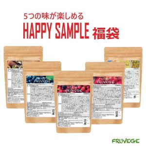 お試しスムージー  5袋セット 42g×5袋 約35杯分 チアシード入り 置き換えダイエット 粉末 ダイエット 食品　朝食　腹持ち　スムージー　サンプル｜beautydelight