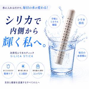 シリカスティック 10本セット Life Wi...の詳細画像3