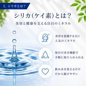 シリカスティック 10本セット Life Wi...の詳細画像5