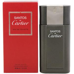 カルティエ 香水 カルティエ サントス EDTSP 100ml SANTOS DE CARTIER - 最安値・価格比較 - Yahoo