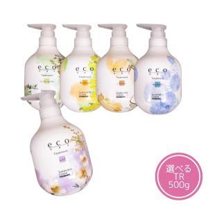 フィットツイン クレンジング&フォーム 480ml お徳用 BASICシリーズ