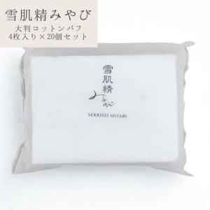 cle de peau BEAUTE（クレ ド ポー ボーテ） 資生堂 ル・コトンII