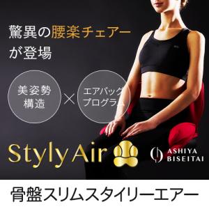 芦屋美整体 骨盤スリムスタイリーエアー テレワーク 座椅子 マッサージャー マッサージ機 骨盤