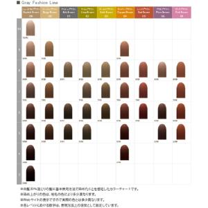ナンバースリー リクロマG ニュートラルブラウ...の詳細画像3