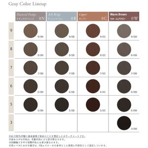 ナンバースリー ヒュウ グレイ カラー 3/0...の詳細画像5
