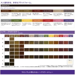 ロレアル アルーリア ファッショングレイ ナチ...の詳細画像2