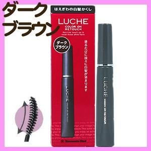 WUAO ウアオ ヘアカバースプレー（140g）ブラウン6本セット : ビ