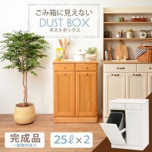 ゴミ箱 木製 ダストボックス 2分別 25L 引き出し収納 〔ペール容器2個付/フタ無/キャスター付き〕 完成品｜bed-lukit