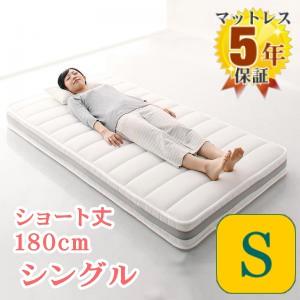 フランスベッド（FRANCEBED） マットレス プロウォール プレミアな