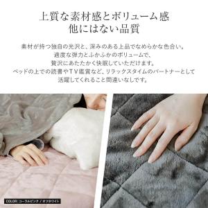 敷きパッド クイーン あったか マイクロファイ...の詳細画像3