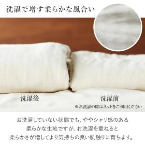ガーゼケット ダブル 綿100% エコテックス...の詳細画像3