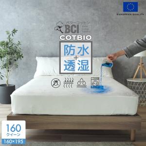 レア　コットンシーツ　防水シーツ　アンダーウェア 防水シーツ 速乾 シングル 100×205cm おねしょシーツ フラット