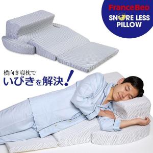 フランスベッド（FRANCEBED） フランスベッド正規品 ウミガメピロー