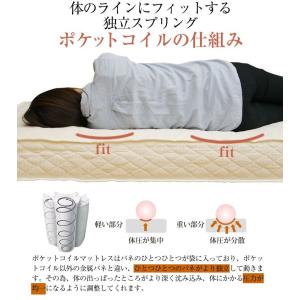 ＼effeシーツプレゼント/ フランスベッド ...の詳細画像3