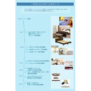 2台用ジョイント商品 すきまパッドSP002+...の詳細画像1