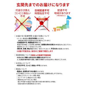 フランスベッド 折りたたみベッド シングル キ...の詳細画像4