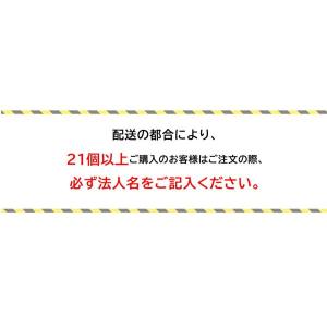 ヌードクッション 肉厚 45×45 国産 日本...の詳細画像1