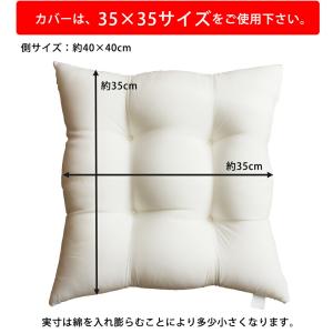 洗える ヌードシートクッション 40×40 肉...の詳細画像1