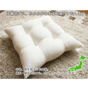 洗える ヌードシートクッション 40×40 肉...の詳細画像3