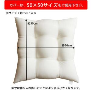 洗える ヌードシートクッション 55×55 東...の詳細画像1