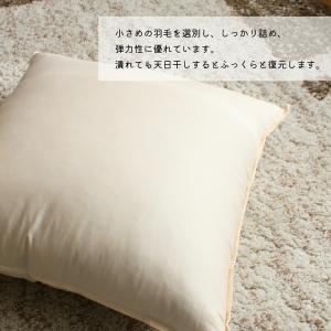 ヌードクッション スモールフェザー 50×50...の詳細画像2