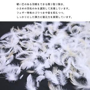 ヌードクッション スモールフェザー 50×50...の詳細画像3