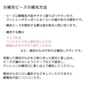 補充用 ビーズ マイクロビーズ 600グラム ...の詳細画像1