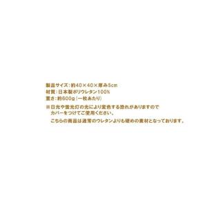 ウレタンチップ ヌード 40×40×5 厚さ5...の詳細画像5