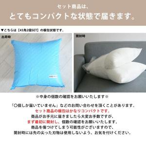 ヌードクッション 45×45 4個セット 日本...の詳細画像3