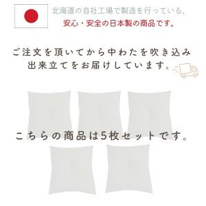 座布団 中身 ヌード座布団 5枚組 八端判 5...の詳細画像1