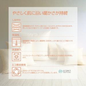 ヌードクッション 50×50 帝人 フワリーヌ...の詳細画像3