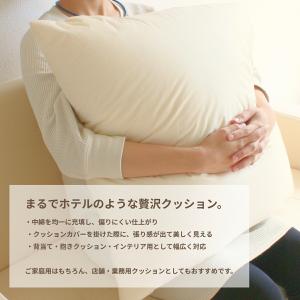 ヌードクッション 50×50 帝人 フワリーヌ...の詳細画像4