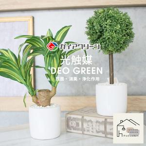 光触媒 フェイクグリーン 観葉植物 人工 造花...の詳細画像1