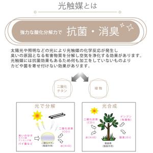 光触媒 フェイクグリーン 観葉植物 人工 造花...の詳細画像2