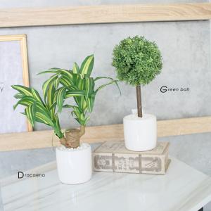 光触媒 フェイクグリーン 観葉植物 人工 造花...の詳細画像4