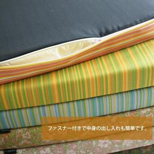 PVC クッション カバーのみ 40cm 厚さ...の詳細画像5