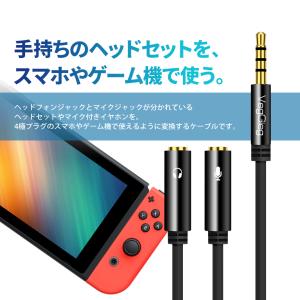 VISION 変換ケーブル 3極 メス ステレ...の詳細画像1