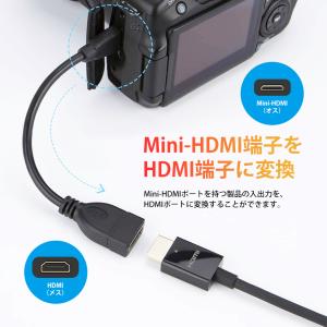VISION MiniHDMI to HDMI...の詳細画像1