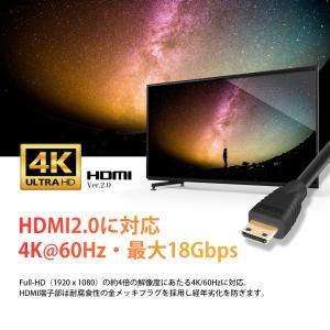 VISION MiniHDMI to HDMI...の詳細画像2