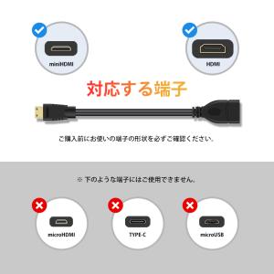 VISION MiniHDMI to HDMI...の詳細画像3