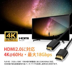 VISION MiniHDMI to HDMI...の詳細画像2